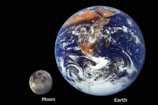 relative size of the universe